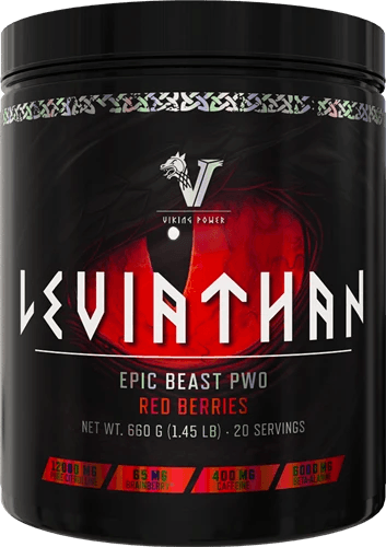 Viking Power Leviathan Hardcore PWO - 660 g