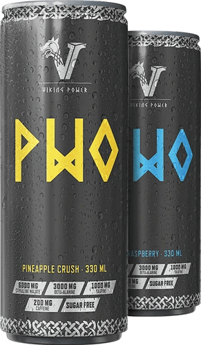 Viking Power PWO Energy Drink - 24 x 330 ml