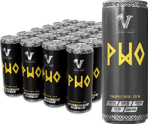 Viking Power PWO Energy Drink - 24 x 330 ml - FITMATTERS